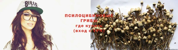 бутират Магас