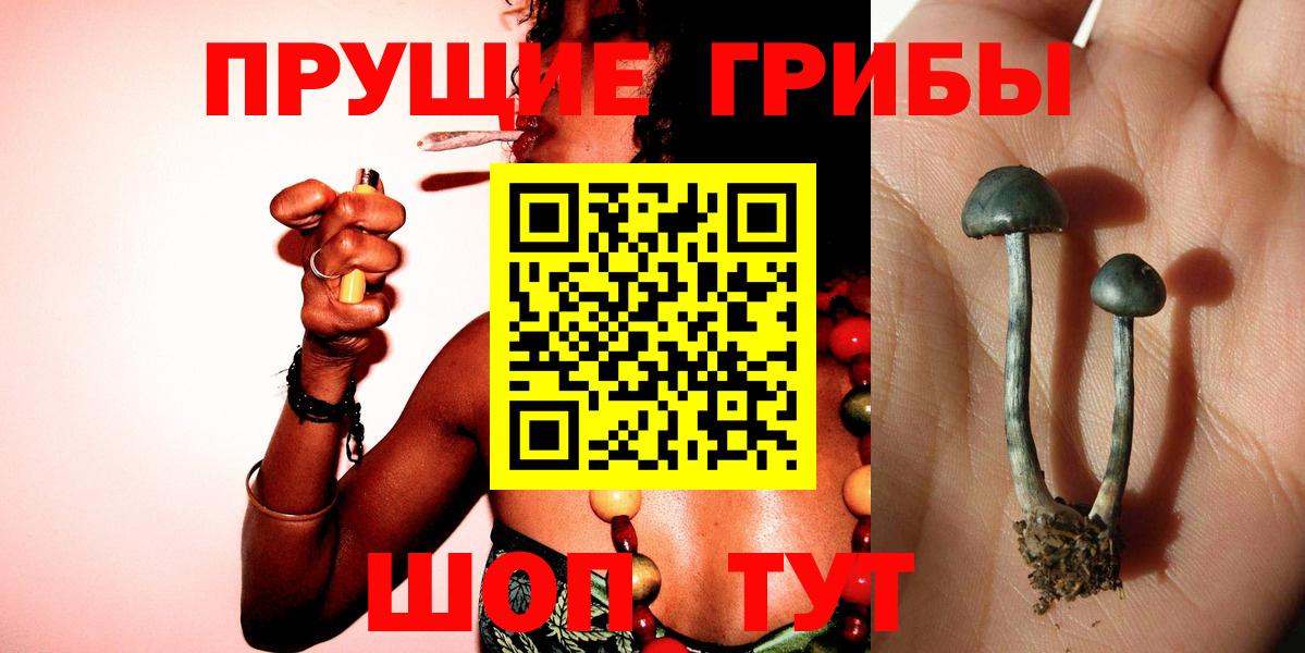 Псилоцибиновые грибы мухоморы Усинск