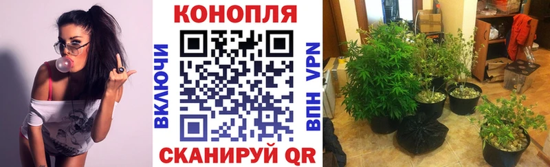 Конопля индика  Усинск 